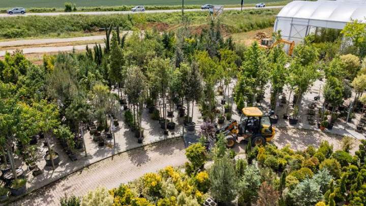 PRODUCTEUR VEGETAUX IDF (19)