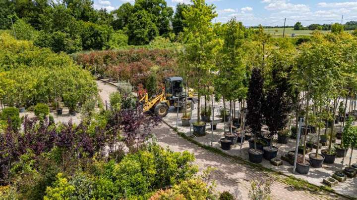 Amé,nagement de jardin sur mesure Meaux