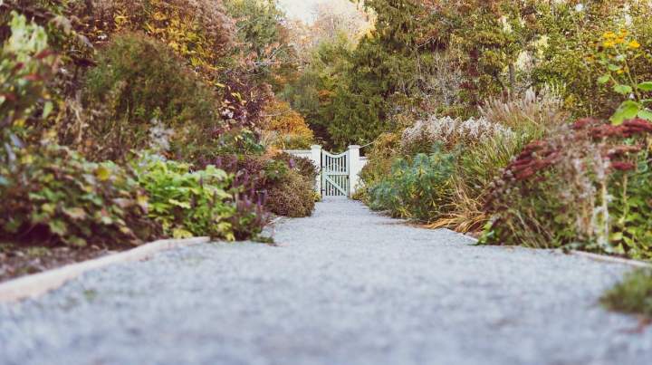 botanical garden 3764739 1280 (1)